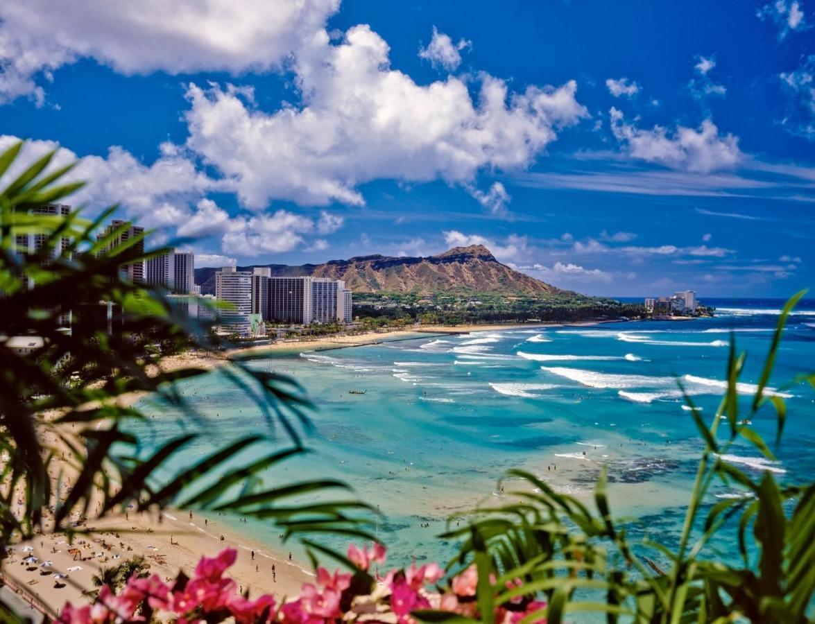 Cozy Waikiki Getaway, Stroll To Beach With Free Parking Honolulu Exteriör bild