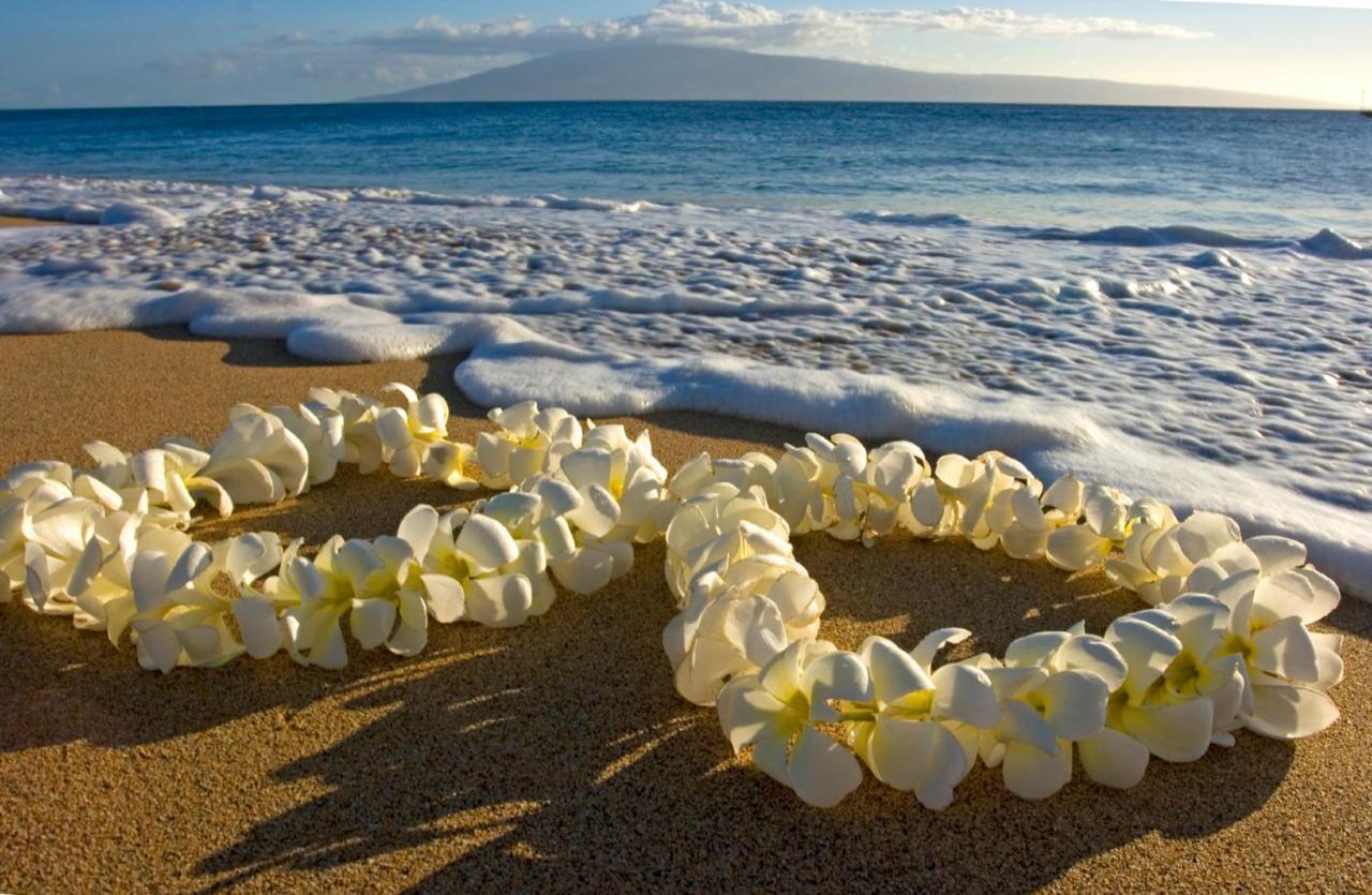 Cozy Waikiki Getaway, Stroll To Beach With Free Parking Honolulu Exteriör bild